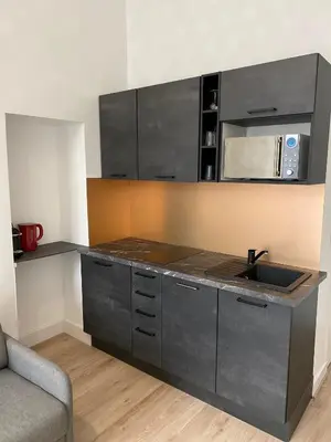 Cuisine ou kitchenette dans l'établissement Studio Montorgueil