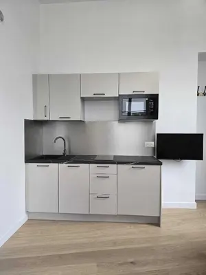 Cuisine ou kitchenette dans l'établissement Studio Grands Boulevards