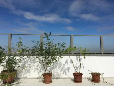 Balcon ou terrasse dans l'établissement Chambre dans un grand appartement avec terrasse