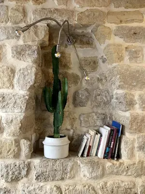 Bibliothèque dans l'appartement