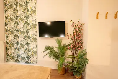 Télévision ou salle de divertissement dans l'établissement Luxurious 7p Suite with SAUNA, near PARIS, Metro 4