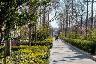 Jardin de l'établissement Mobility lease l Neuilly l Equipped & Paris 10mins away