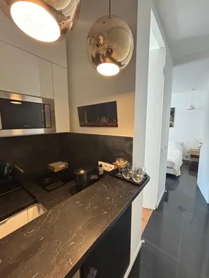 Cuisine ou kitchenette dans l'établissement Charming Paris apartment