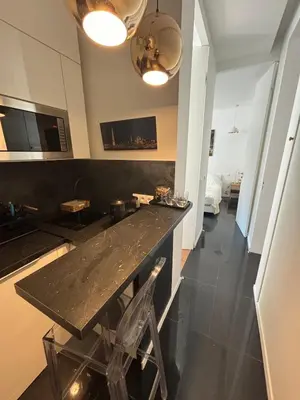 Cuisine ou kitchenette dans l'établissement Charming Paris apartment