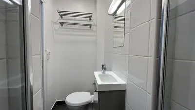 Salle de bains dans l'établissement Cozy studio in Paris 15eme