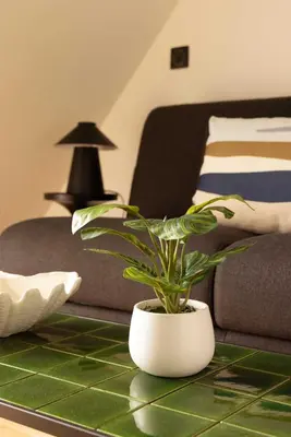 Plan de l'établissement Charming studio A C - 2P- Montorgueil