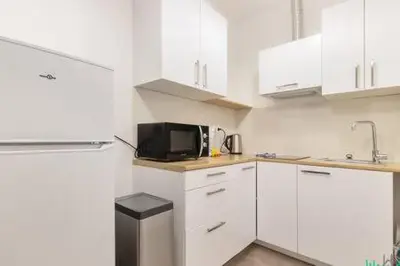 Cuisine ou kitchenette dans l'établissement Génie 2 - LB - Charmant Apt au Cœur du 12e de Paris pour 4 Pers