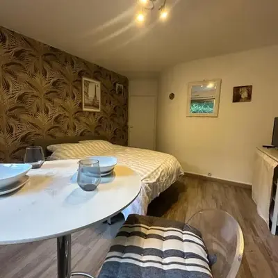 Superbe Studio Miromesnil Elysée