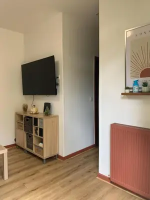 Télévision ou salle de divertissement dans l'établissement appartement RDC gauche