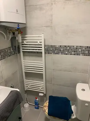 Salle de bains dans l'établissement appartement RDC gauche