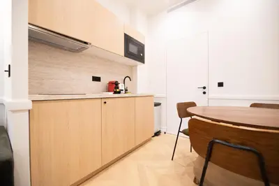 Cuisine ou kitchenette dans l'établissement Austerlitz-Bastille Residence