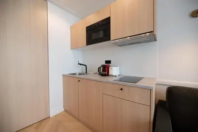 Cuisine ou kitchenette dans l'établissement Relax in Paris XII