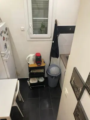 Cuisine ou kitchenette dans l'établissement Appartement Montrouge