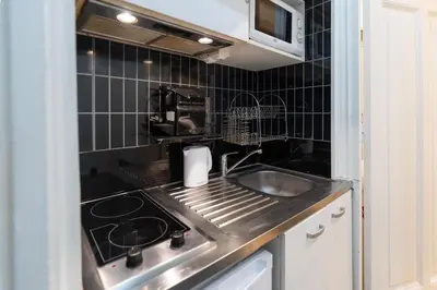 Cuisine ou kitchenette dans l'établissement Appartement Champs Elysées