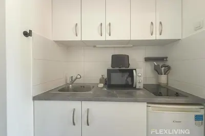 Cuisine ou kitchenette dans l'établissement Flexliving - Studio - Patriarches