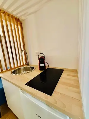 Cuisine ou kitchenette dans l'établissement Studio Penthievre Champs Elysée