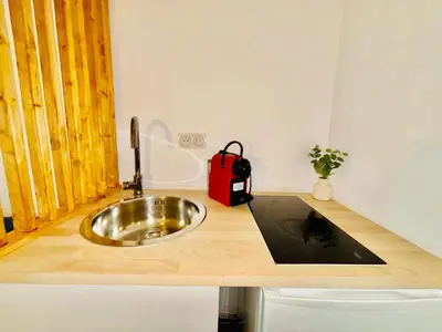 Cuisine ou kitchenette dans l'établissement Studio Penthievre Champs Elysée