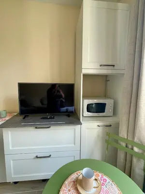 Cuisine ou kitchenette dans l'établissement Cozy renovated studio