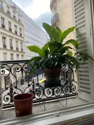 Balcon ou terrasse dans l'établissement Luxury City Center Loft near champs elysees