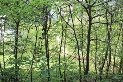 Paysage naturel près de l'appartement