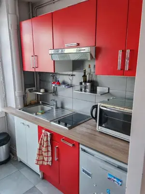 Cuisine ou kitchenette dans l'établissement Cozy Apartment Montrouge Paris
