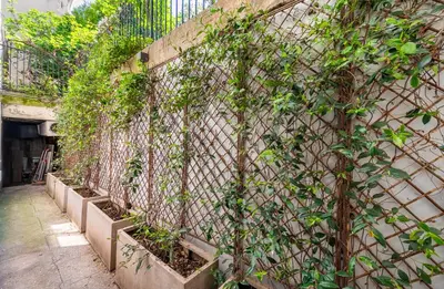 Jardin de l'établissement Louvre l Souplex à 15min du Jardin du Luxembourg