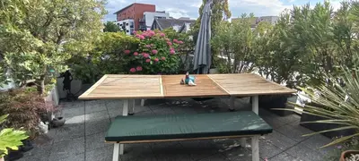 Jardin de l'établissement Stade de France - Magnifique terrasse arborée