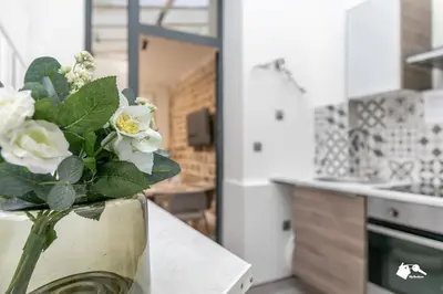 Cuisine ou kitchenette dans l'établissement MBA - Splendide Appartement - Proche Nation