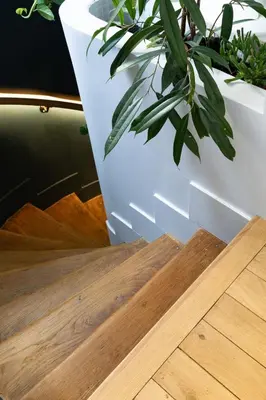 Plan de l'établissement Mini loft in Notre Dame district, Île Saint-Louis, Paris