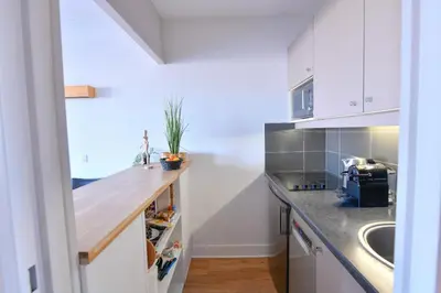 Cuisine ou kitchenette dans l'établissement Bright with balcony at Buttes Chaumont