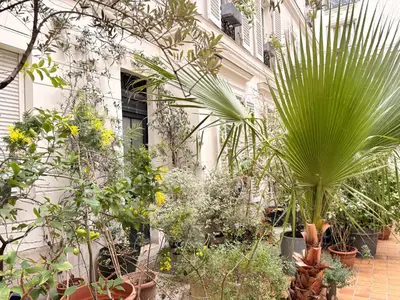 Jardin de l'établissement Champs Élysées