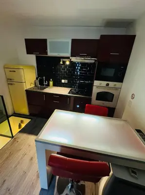 Cuisine ou kitchenette dans l'établissement Petit Dupleix atypique Porte Maillot F3