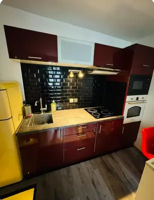 Cuisine ou kitchenette dans l'établissement Petit Dupleix atypique Porte Maillot F3