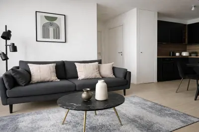 Coin salon dans l'établissement Spacieux Appartement à Issy Les Moulineaux