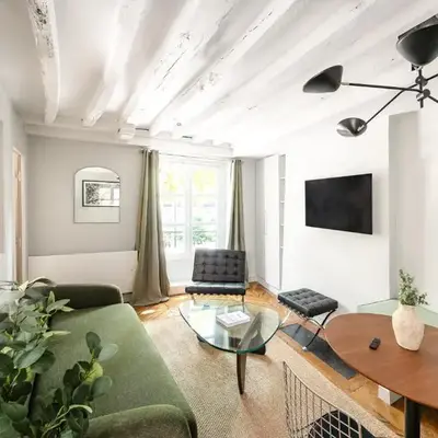 Elegant Parisian apartment