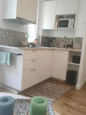 Cuisine ou kitchenette dans l'établissement Charmant studio au calme