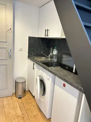 Cuisine ou kitchenette dans l'établissement Stylish Loft Studio in Central Paris in Clery 4
