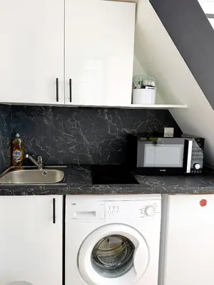 Cuisine ou kitchenette dans l'établissement Stylish Loft Studio in Central Paris in Clery 4