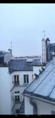 Plan de l'établissement Studio Sacré-Cœur - Rue Chappe