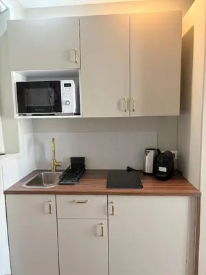 Cuisine ou kitchenette dans l'établissement Studio Prestige Paris Porte de Versailles