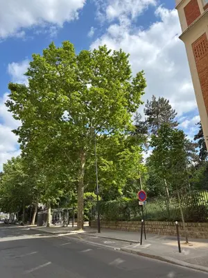 Quartier de l'appartement ou autre quartier proche