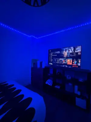 Télévision ou salle de divertissement dans l'établissement Appartement Saint Ferdinand