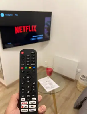 Télévision ou salle de divertissement dans l'établissement PARIS-MONTROUGE Magnifique Appartement 2 pièce de 36m2 - très cosy pour 1 à 5 personnes refait à neuf - ENTIRE APARTMENT LUXURIOUS AND WARM - Montrouge Paris 14ème - Proche Aéroport Orly & Parc Expositions Porte de Versailles FREE WIFI GRATUIT