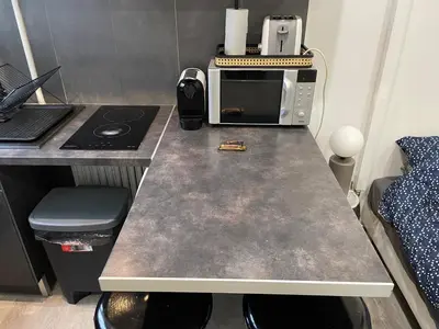 Cuisine ou kitchenette dans l'établissement studio Champs Elysees