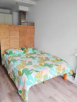 Un ou plusieurs lits dans un hébergement de l'établissement studio centre paris 15e near montparnasse