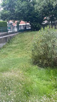 Jardin de l'établissement Studio fonctionnel en plein cœur de paris