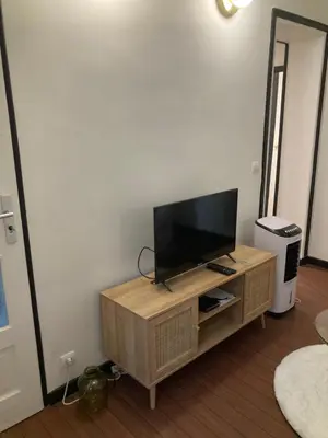 Télévision ou salle de divertissement dans l'établissement Studio meublé Gambetta