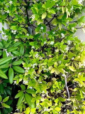 Jardin de l'établissement Beau 4 pièces dans coin de verdure