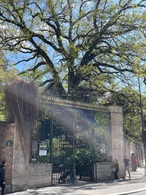 Plan de l'établissement Studio Jardin des Plantes
