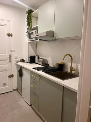 Cuisine ou kitchenette dans l'établissement Bright studio on garden